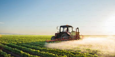 Agriculture and Agribusiness